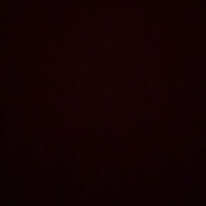 Meet your Posher, Jocelyn